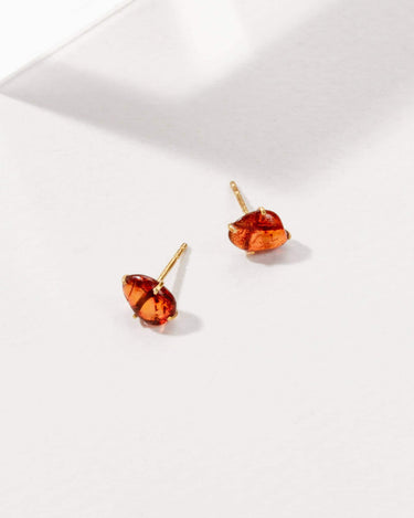 Raw beauty post earrings 14kt gold plated amber front view