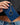 Adriana Card Holder Navy held in a woman's hand with a gold keychain detail, showcasing its chic design.