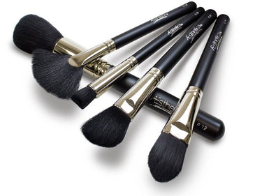 Aesthetica Contour and Highlighting Brush Set