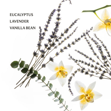 Pure Lavender Power Mist Hydrating Hand Sanitizer with lavender flowers