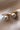 18K Gold Plated Waterproof Stainless Steel Stud Earrings 7743 displayed as a pair on a light background