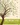 This Time Next Year 365 Days of Exploration journal cover with tree design