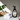 Botanical Facial Wash with Vanilla Bean and Elder Flower