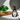 Vanilla Bean + Elder Flower Botanical Facial Wash