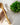 Bamboo Back Brush & Massager - Back Care