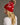 Red and white pom pom hat winter design