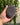 Large Natural Pumice Foot Stone | UPDATED design - Foot Care