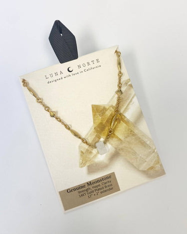 Prism Gems Birthstone Necklace - June featuring genuine moonstone and elegant design on a display card.