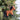 Horse Felt Wool Christmas Ornament displayed on greenery