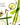 Aloe You Power Mist Hydrating Hand Sanitizer with aloe and citrus ingredients