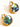 18K gold round natural shell earrings for women