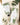 Fern & Sandalwood Hand Cream - Hand Cream