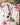 Sweet Rose & Peony Hand Cream - Hand Cream