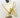 Prism Gems Birthstone Necklace - January
