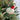 Mouse with Santa Hat Tufted Wool Christmas Ornament on Christmas tree