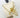 Prism Gems Birthstone Necklace - March