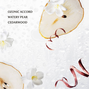 Rainwater Power Mist Hydrating Hand Sanitizer with rainwater-inspired floral design