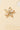 Gold Dipped 5 Petal Cz Flower Stud Earrings - G - Studs