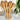 Bamboo Back Brush & Massager - Back Care