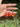 Red Jasper Crystal Keychain featuring polished reddish-orange gemstones displayed in a hand outdoors