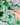Shamrock Clay Studs Shamrock Stud Earrings displayed on a card, held against a green shamrock-patterned scarf.