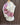 Fine Wool Kashmir Jamawar Pashmina draped in pink and purple