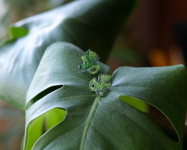 Monstera Tropical Leaf Earrings