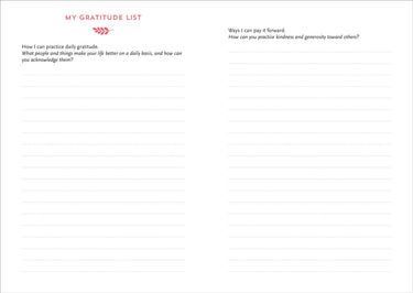 A Daily Dose of Gratitude Journal open daily reflection page