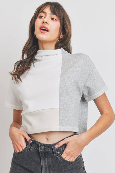 Turtle Neck Color Block Crop Top