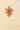 Gold Dipped Cz And Pearl Flower Stud Earrings - G - Studs