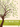 This Time Next Year 365 Days of Exploration journal cover with tree design