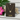 Gold Dipped Cz Flower Heart Pendant Necklace - Gold - Necklace