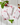 Brambleberry Small Sachet - Fragrance
