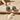 18K gold round natural shell earrings