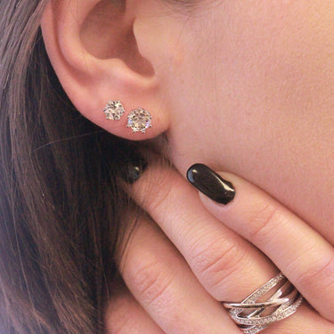 Lily Silver and Crystal Earrings