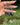 Black Agate Crystal Keychain featuring polished dark gemstones held in a hand outdoors