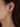 Leaf earrings