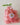 Rose Swirl Travel Soap decorative pink rose soap in a clear container