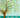 Our Family Tree