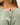 Close-up of sage green slub pullover sweater fabric and neckline detail