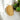 Large Exfoliating Loofah | Oval | Skin Care Bestseller - Loofah