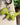 Green T-Rex dinosaur felt wool keychain hanging from a textured bag