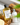 Spiced Chai Botanical Body Wash - Botanical Skin Care