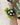 Turtle Felt Wool Keychain in green with dark green shell and white details
