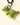 T-Rex Dinosaur Felt Wool Keychain in green with white spot details