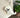 Bichon Puppy Dog Felt Wool Keychain hanging from a textured cream bag