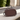 ANNA Opal Shape Hard Case Crossbody Bag with Top Handle