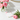 Peony Bloom Small Sachet - Fragrance